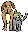 Un chien et un chat hypnotisé par le flicker